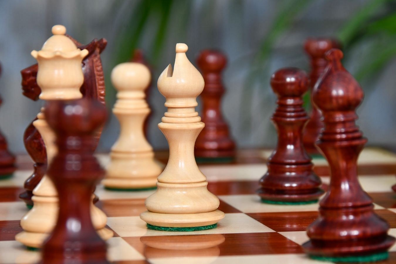 Meghdoot Staunton Chess Set – 3.14'' Bud Rosewood Pieces + Bud Rosewood Board